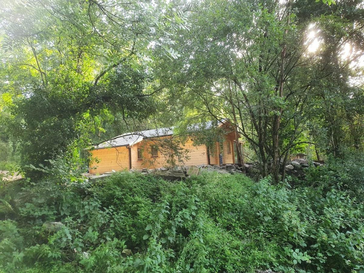 Stunning Log Cabin On The Lake Villa Portroe Dış mekan fotoğraf