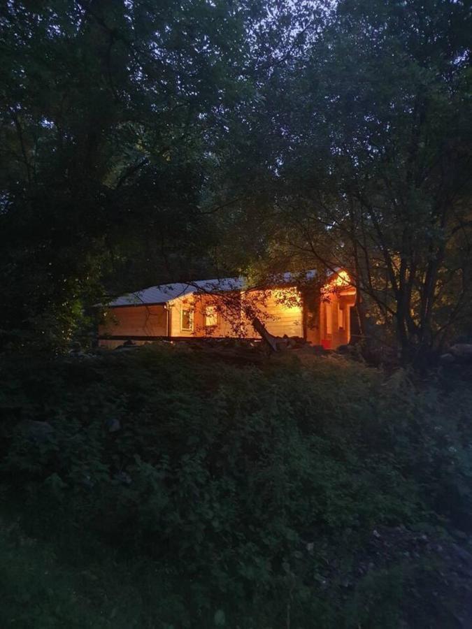 Stunning Log Cabin On The Lake Portroe Dış mekan fotoğraf